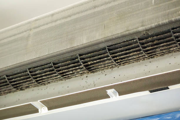  Babson Park, FL Airduct Cleaning Pros